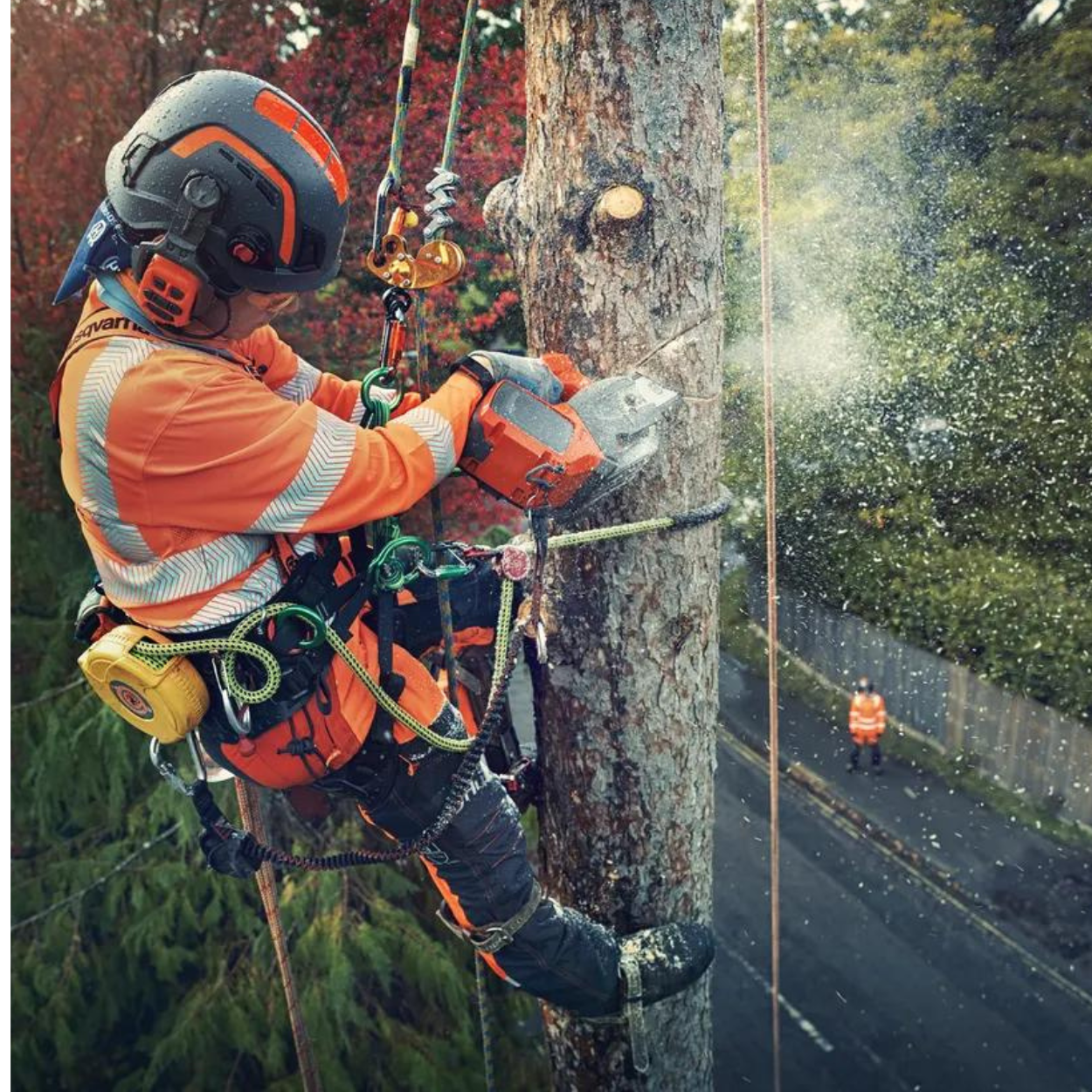 T540iXP Battery Chainsaw