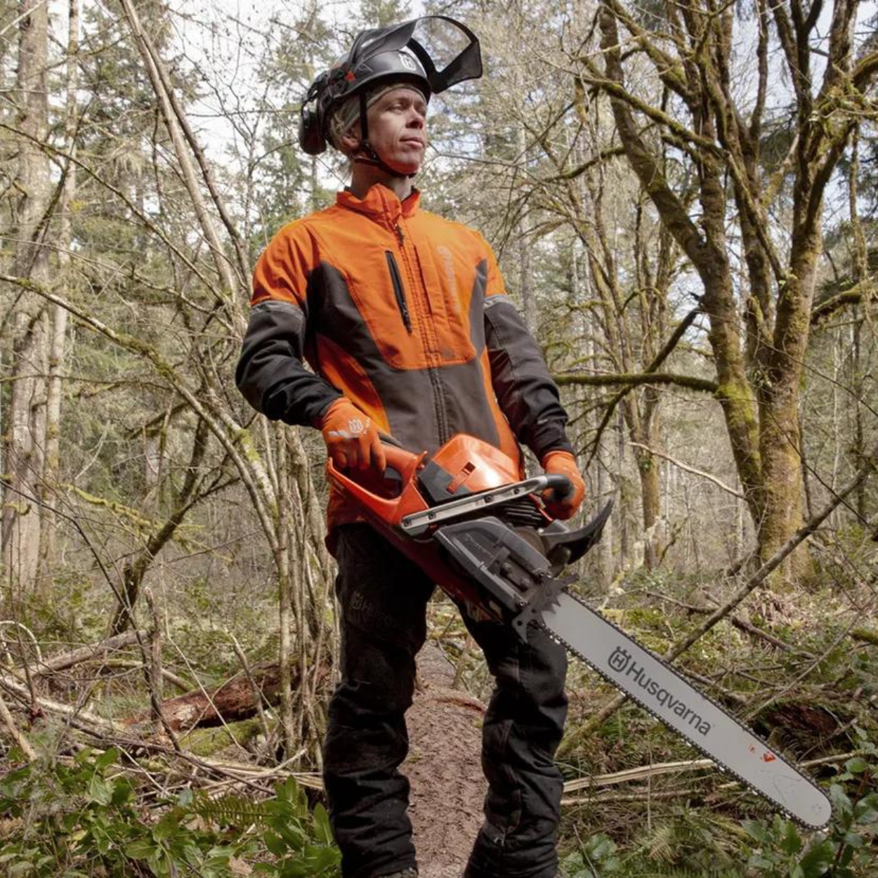 585 Chainsaw