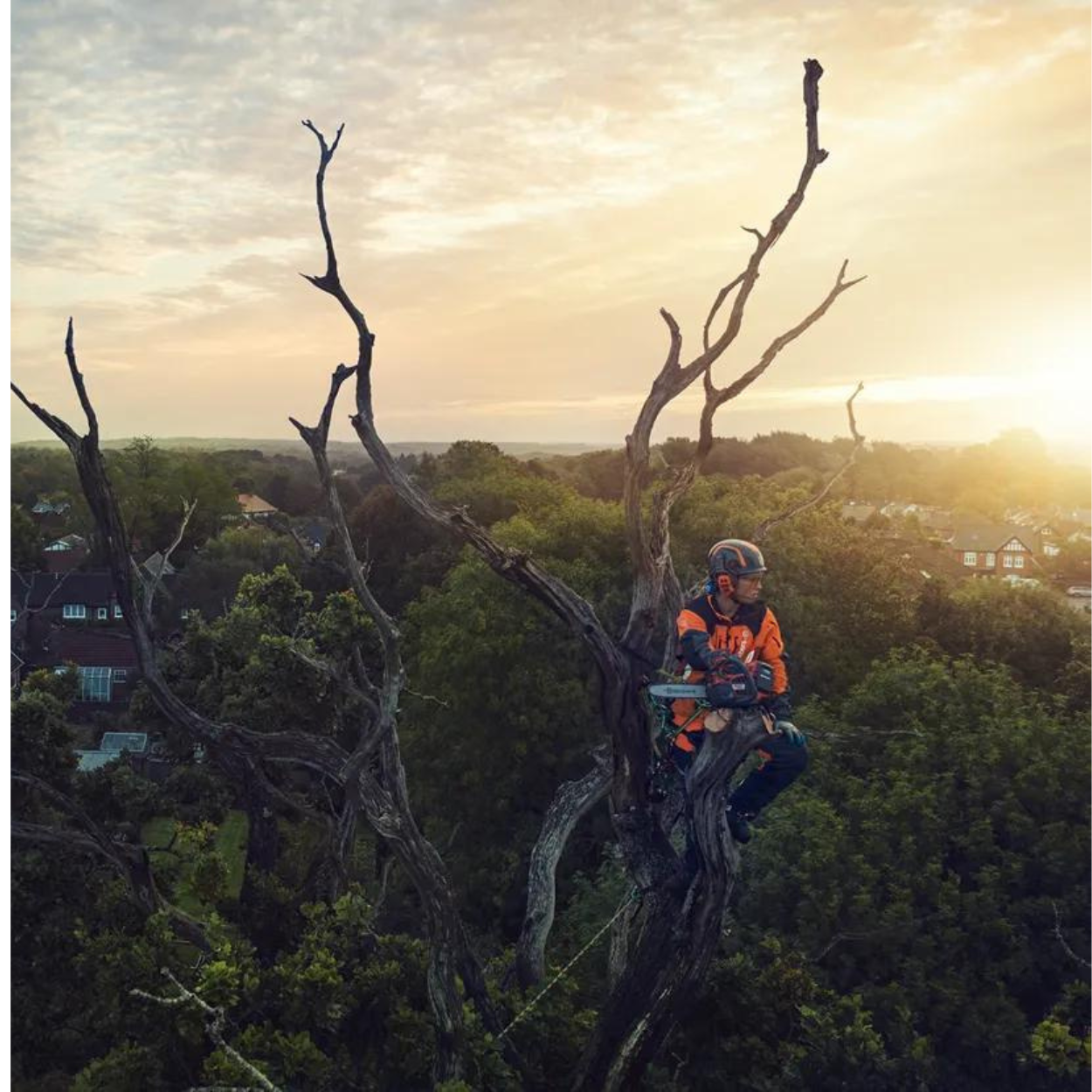 T540iXP Battery Chainsaw