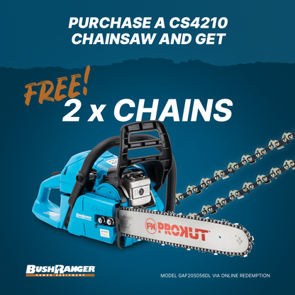CS4210 Chainsaw