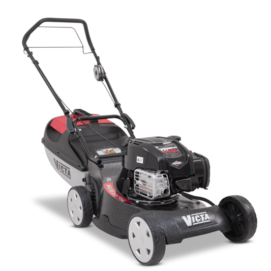Mustang 19" Self Propelled Mower